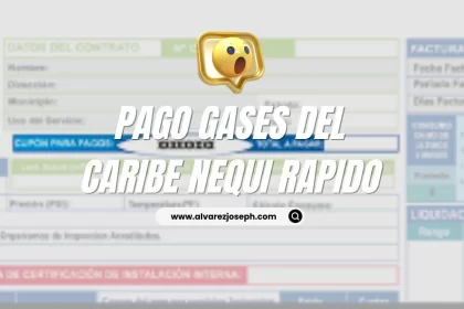 Cómo pagar el recibo del gas por Nequi de manera fácil y rápida - 15