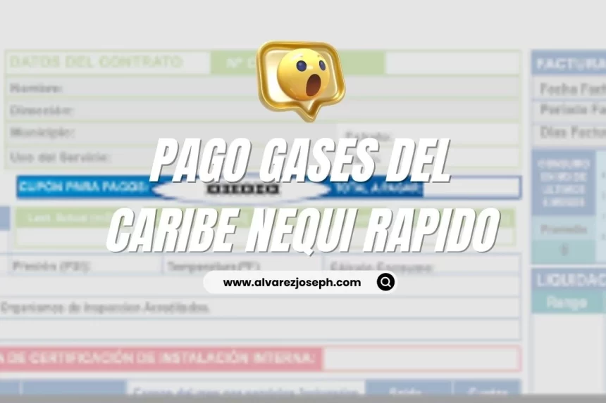 Cómo pagar el recibo del gas por Nequi de manera fácil y rápida - 7