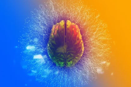 Cómo Crear tus Propios Modelos de IA con Human Generator - 15