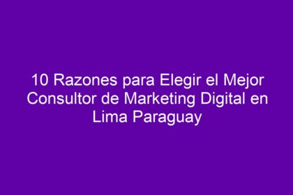 10 Razones para Elegir el Mejor Consultor de Marketing Digital en Lima Paraguay - 8
