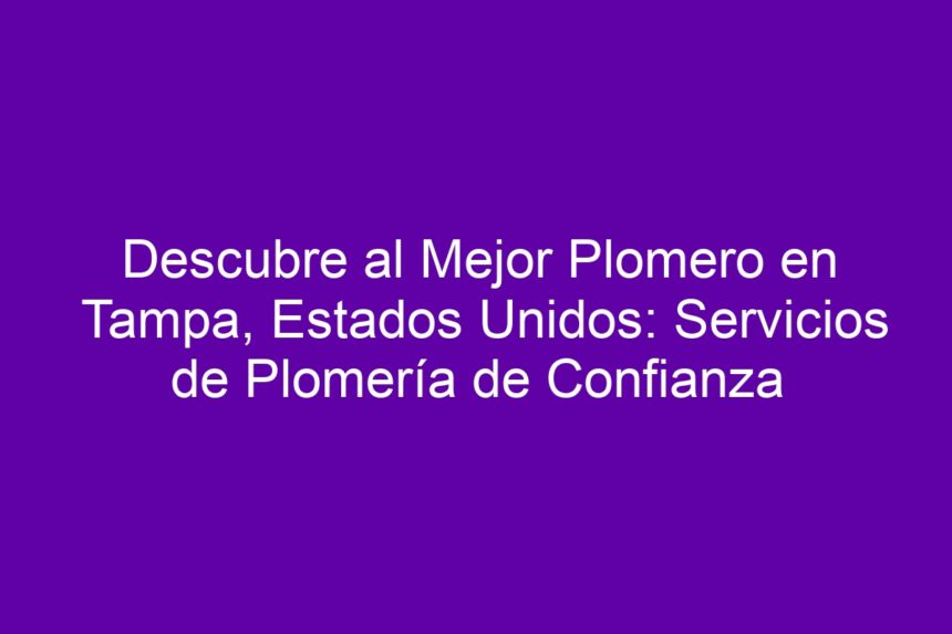 Descubre al Mejor Plomero en Tampa, Estados Unidos: Servicios de Plomería de Confianza - 7