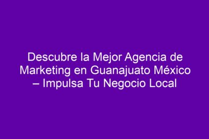 Descubre la Mejor Agencia de Marketing en Guanajuato México – Impulsa Tu Negocio Local - 14