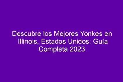 Descubre los Mejores Yonkes en Illinois, Estados Unidos: Guía Completa - 10