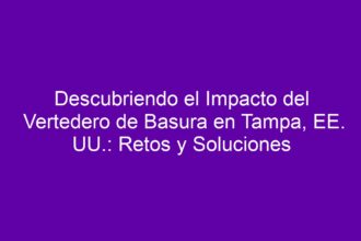 Descubriendo el Impacto del Vertedero de Basura en Tampa, EE. UU.: Retos y Soluciones - 8