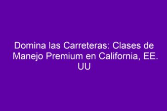 Domina las Carreteras: Clases de Manejo Premium en California, EE. UU - 8
