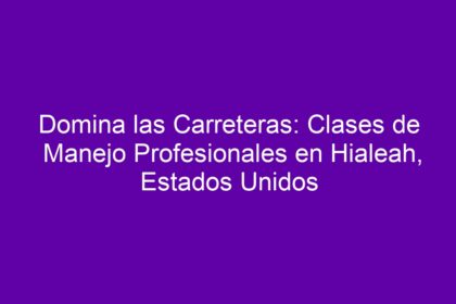 Domina las Carreteras: Clases de Manejo Profesionales en Hialeah, Estados Unidos - 9