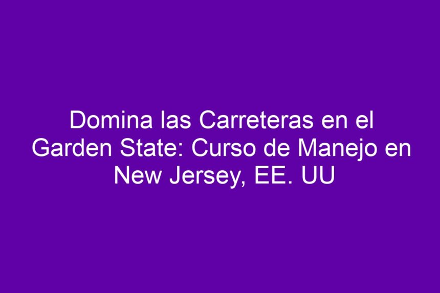 Imagen de Domina las Carreteras en el Garden State: Curso de Manejo en New Jersey, EE. UU Domina las Carreteras en el Garden State: Curso de Manejo en New Jersey, EE. UU - 7