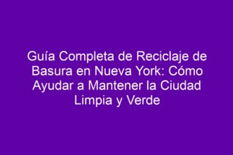 Guía Completa de Reciclaje de Basura en Nueva York: Cómo Ayudar a Mantener la Ciudad Limpia y Verde - 8