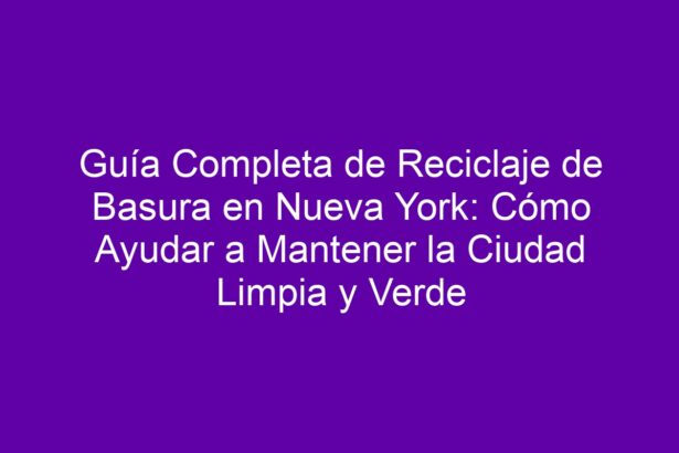 Guía Completa de Reciclaje de Basura en Nueva York: Cómo Ayudar a ...