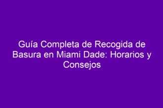 Guía Completa de Recogida de Basura en Miami Dade: Horarios y Consejos - 9