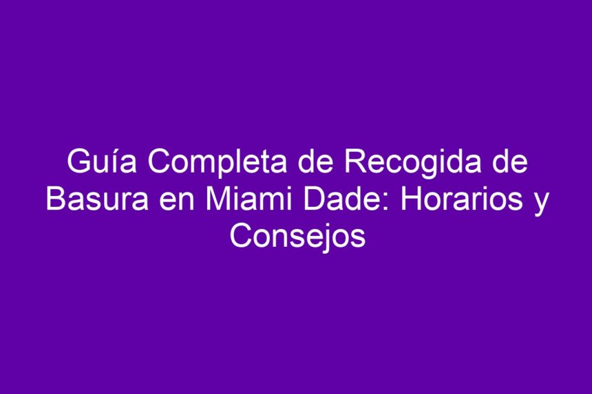 Imagen de Guía Completa de Recogida de Basura en Miami Dade: Horarios y Consejos Guía Completa de Recogida de Basura en Miami Dade: Horarios y Consejos - 7