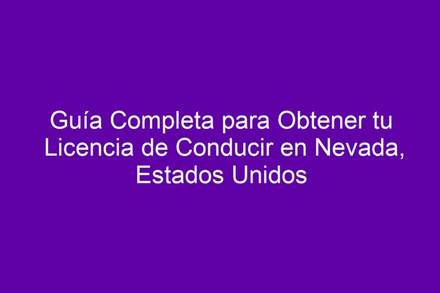 Guía Completa para Obtener tu Licencia de Conducir en Nevada, Estados Unidos - 7