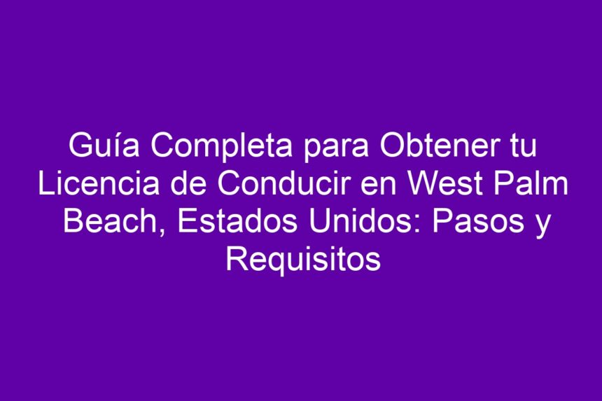 Imagen de Guía Completa para Obtener tu Licencia de Conducir en West Palm Beach, Estados Unidos: Pasos y Requisitos Guía Completa para Obtener tu Licencia de Conducir en West Palm Beach, Estados Unidos: Pasos y Requisitos - 7