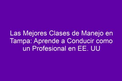 Las Mejores Clases de Manejo en Tampa: Aprende a Conducir como un Profesional en EE. UU - 9