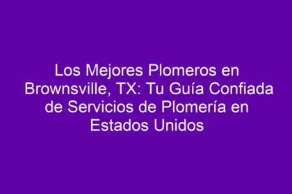 Los Mejores Plomeros en Brownsville, TX: Tu Guía Confiada de Servicios de Plomería en Estados Unidos - 8