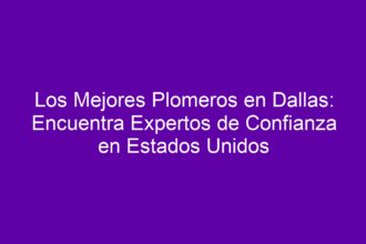 Los Mejores Plomeros en Dallas: Encuentra Expertos de Confianza en Estados Unidos - 8