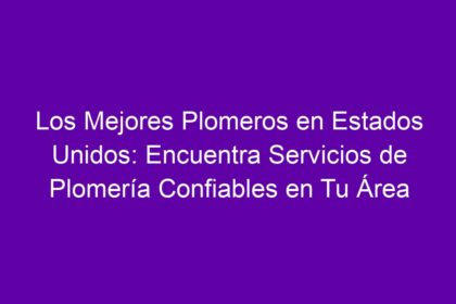 Los Mejores Plomeros en Estados Unidos: Encuentra Servicios de Plomería Confiables en Tu Área - 10