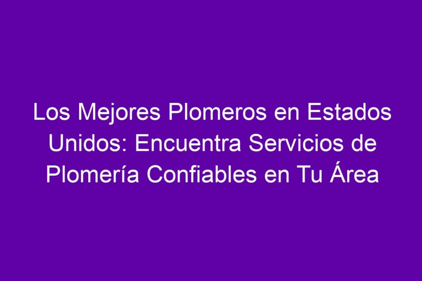 Los Mejores Plomeros en Estados Unidos: Encuentra Servicios de Plomería Confiables en Tu Área - 7