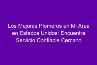 Los Mejores Plomeros en Mi Área en Estados Unidos: Encuentra Servicio Confiable Cercano - 8