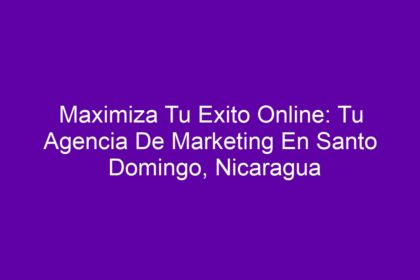 Maximiza Tu Exito Online: Tu Agencia De Marketing En Santo Domingo, Nicaragua - 8