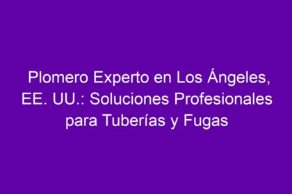 Plomero Experto en Los Ángeles, EE. UU.: Soluciones Profesionales para Tuberías y Fugas - 9