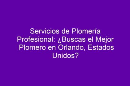 Servicios de Plomería Profesional: ¿Buscas el Mejor Plomero en Orlando, Estados Unidos? - 13
