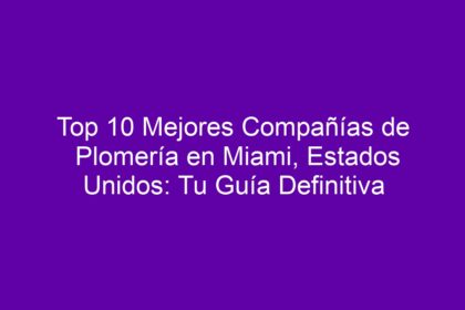 Top 10 Mejores Compañías de Plomería en Miami, Estados Unidos: Tu Guía Definitiva - 8