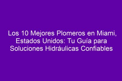 Los 10 Mejores Plomeros en Miami, Estados Unidos: Tu Guía para Soluciones Hidráulicas Confiables - 8