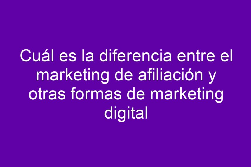 Cuál es la diferencia entre el marketing de afiliación y otras formas de marketing digital - 7