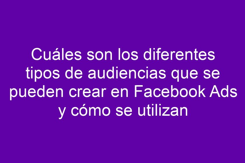 Cuáles son los diferentes tipos de audiencias que se pueden crear en Facebook Ads y cómo se utilizan - 7
