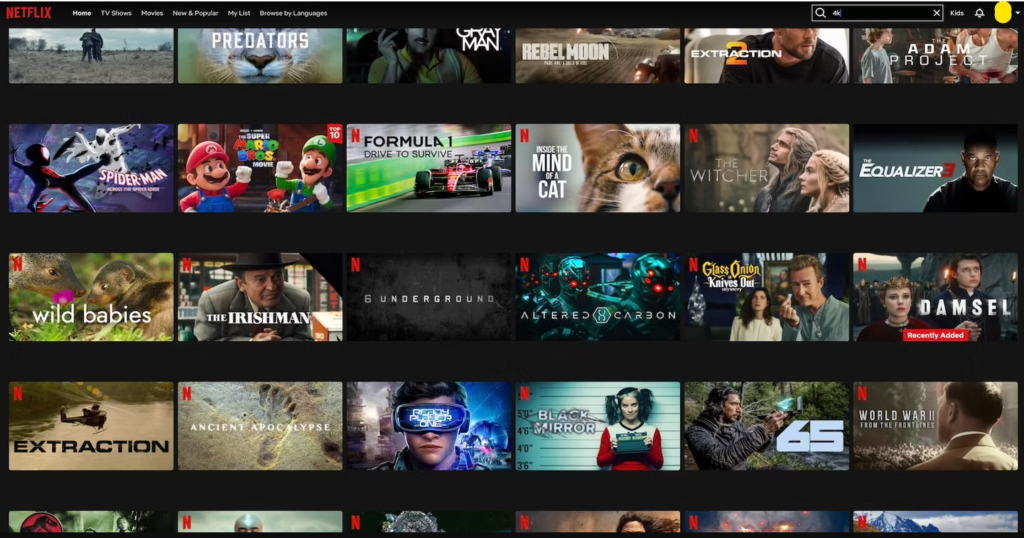 Imagen de Los Mejores Servicios de Transmisión para Contenido 4K Los Mejores Servicios de Transmisión para Contenido 4K - 8