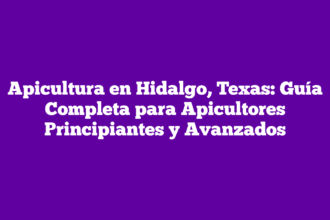 Apicultura en Hidalgo, Texas: Guía Completa para Apicultores Principiantes y Avanzados