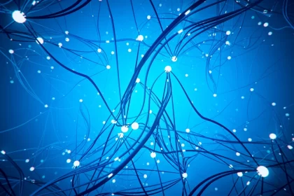 Lo Que Sucede Dentro de la Red Neuronal de ChatGPT: Una Mirada Reveladora - 19