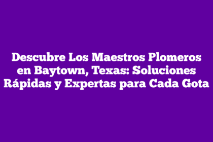 Descubre Los Maestros Plomeros en Baytown, Texas: Soluciones Rápidas y Expertas para Cada Gota