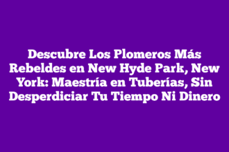 Descubre Los Plomeros Más Rebeldes en New Hyde Park, New York: Maestría en Tuberías, Sin Desperdiciar Tu Tiempo Ni Dinero