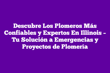 Descubre Los Plomeros Más Confiables y Expertos En Illinois – Tu Solución a Emergencias y Proyectos de Plomería