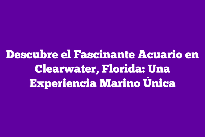 Imagen de Descubre el Fascinante Acuario en Clearwater, Florida: Una Experiencia Marino Única Descubre el Fascinante Acuario en Clearwater, Florida: Una Experiencia Marino Única