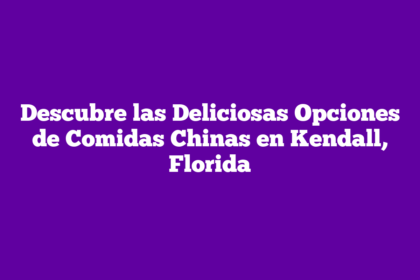 Descubre las Deliciosas Opciones de Comidas Chinas en Kendall, Florida