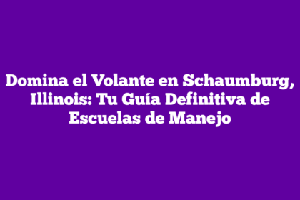 Domina el Volante en Schaumburg, Illinois: Tu Guía Definitiva de Escuelas de Manejo