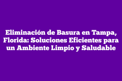 Eliminación de Basura en Tampa, Florida: Soluciones Eficientes para un Ambiente Limpio y Saludable
