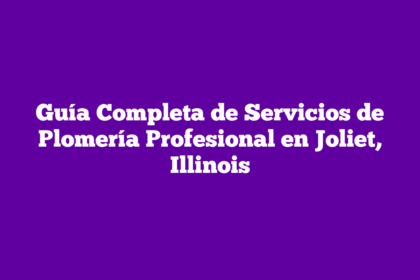 Guía Completa de Servicios de Plomería Profesional en Joliet, Illinois
