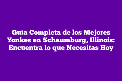 Guía Completa de los Mejores Yonkes en Schaumburg, Illinois: Encuentra lo que Necesitas Hoy