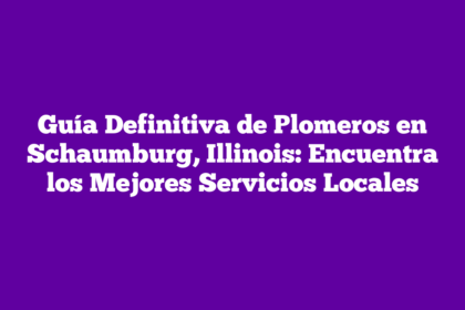 Guía Definitiva de Plomeros en Schaumburg, Illinois: Encuentra los Mejores Servicios Locales
