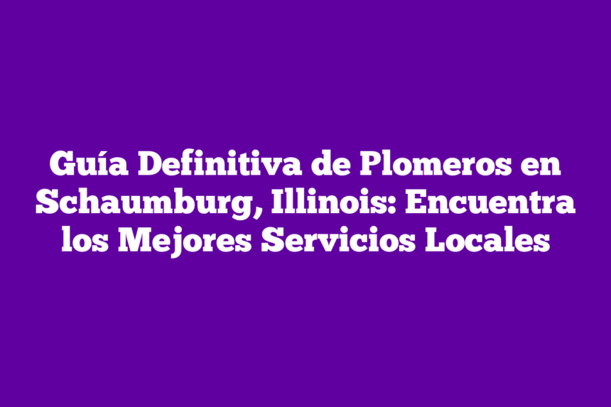 Imagen de Guía Definitiva de Plomeros en Schaumburg, Illinois: Encuentra los Mejores Servicios Locales Guía Definitiva de Plomeros en Schaumburg, Illinois: Encuentra los Mejores Servicios Locales