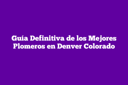 Guía Definitiva de los Mejores Plomeros en Denver Colorado