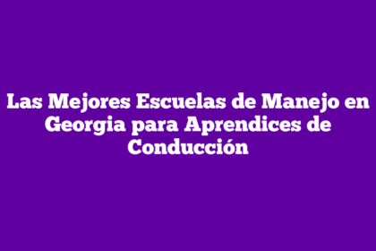 Las Mejores Escuelas de Manejo en Georgia para Aprendices de Conducción