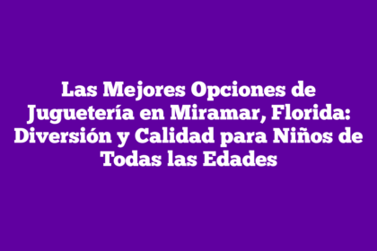 Las Mejores Opciones de Juguetería en Miramar, Florida: Diversión y Calidad para Niños de Todas las Edades