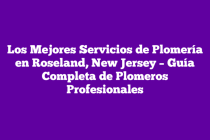 Los Mejores Servicios de Plomería en Roseland, New Jersey – Guía Completa de Plomeros Profesionales