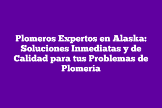 Plomeros Expertos en Alaska: Soluciones Inmediatas y de Calidad para tus Problemas de Plomería