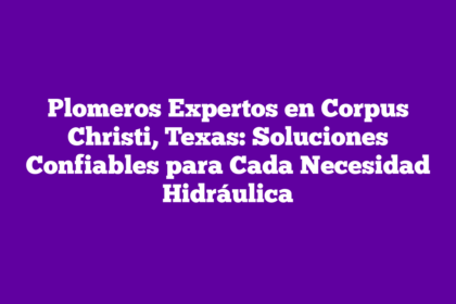 Plomeros Expertos en Corpus Christi, Texas: Soluciones Confiables para Cada Necesidad Hidráulica